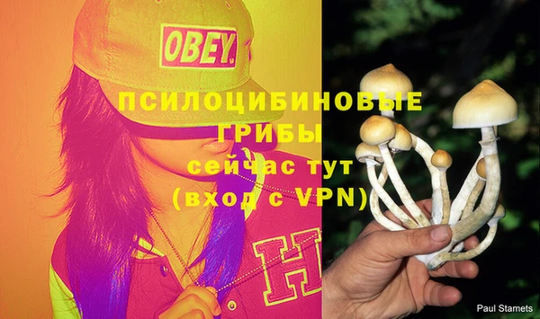 трава Баксан