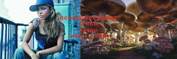 трава Баксан